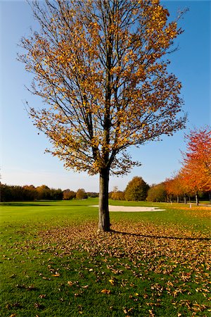 simsearch:600-05973842,k - Golf Course with Trees in Autumn, North Rhine-Westphalia, Germany Stock Photo - Premium Royalty-Free, Code: 600-05973836