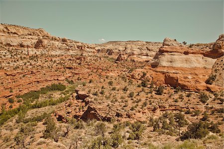 escalante wilderness - Grand Staircase-Escalante National Monument, Utah, USA Stock Photo - Premium Royalty-Free, Code: 600-06009193