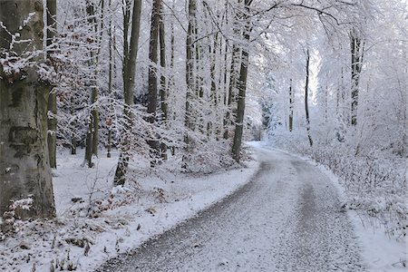 simsearch:614-06718312,k - Sentier de la forêt le matin d'hiver, Vielbrunn, Hesse, Allemagne Photographie de stock - Premium Libres de Droits, Code: 600-06144755