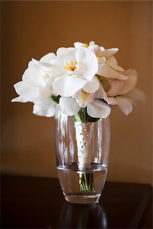 simsearch:600-05948257,k - Flowers; No Release; Ontario; Toronto; bouquet Stock Photo - Premium Royalty-Free, Code: 600-06302318