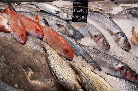 red snapper - Variety of Fresh Fish on Ice, St Lawrence Market, Toronto, Ontario, Canada Stock Photo - Premium Royalty-Free, Code: 600-06325430
