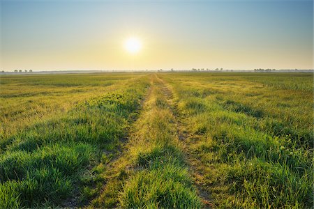 point du jour - Chemin d'accès, Tadten, Burgenland, Autriche Photographie de stock - Premium Libres de Droits, Code: 600-06334488