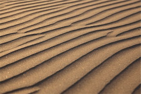 simsearch:600-07784413,k - Sand Dune, Canary Islands, Spain Stock Photo - Premium Royalty-Free, Code: 600-06355286