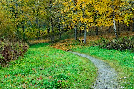 path fall - Schwarzwald-Baar, Bade-Wurtemberg, Allemagne Photographie de stock - Premium Libres de Droits, Code: 600-06397530