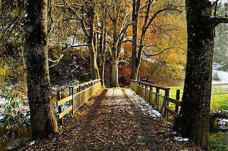 path, water - Eschach River Valley, Black Forest, Black Forest, Schwarzwald-Baar, Baden-Wurttemberg, Germany Foto de stock - Sin royalties Premium, Código: 600-06397543
