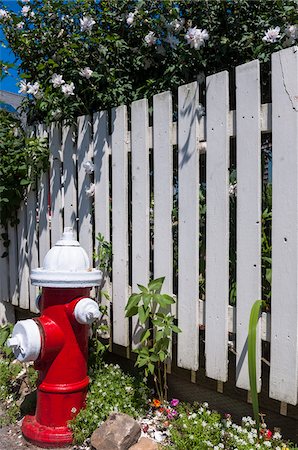 simsearch:700-06431215,k - Fire Hydrant beside White Picket Fence, Provincetown, Cape Cod, Massachusetts, USA Stock Photo - Premium Royalty-Free, Code: 600-06439193