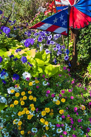 simsearch:700-06431219,k - Flowers in Garden with American Flag Pinwheel, Provincetown, Cape Cod, Massachusetts, USA Stock Photo - Premium Royalty-Free, Code: 600-06431185