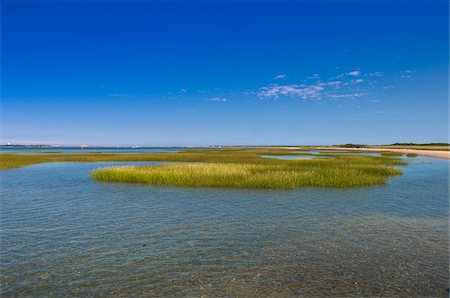 Landscape with Water and Grasses, Provincetown, Cape Cod, Massachusetts, USA Stock Photo - Premium Royalty-Free, Code: 600-06431205