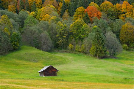 fienile - Hay Barn in Autumn near Garmisch-Partenkirchen, Werdenfelser Land, Upper Bavaria, Bavaria, Germany Fotografie stock - Premium Royalty-Free, Codice: 600-06471330