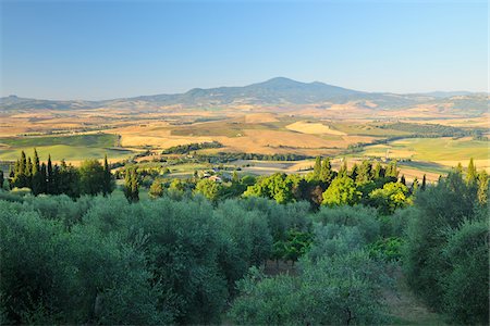simsearch:700-07674836,k - Overview of Countryside in Summer, Pienza, Val d'Orcia, Province of Siena, Tuscany, Italy Stock Photo - Premium Royalty-Free, Code: 600-06486644