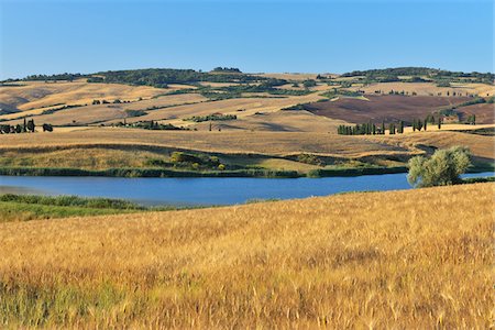 simsearch:600-06758329,k - Countryside with Wheat Field in Summer, Pienza, Val d'Orcia, Province of Siena, Tuscany, Italy Stock Photo - Premium Royalty-Free, Code: 600-06486643