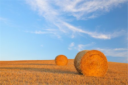 Field with Hay Bales and Blue Sky, Province of Siena, Tuscany, Italy Stock Photo - Premium Royalty-Free, Code: 600-06505796