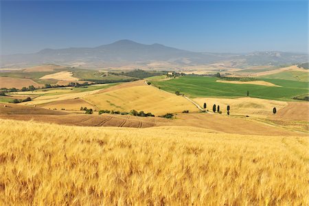 simsearch:600-06758329,k - Tuscan Countryside with Wheat Field in Summer, Province of Siena, Tuscany, Italy Stock Photo - Premium Royalty-Free, Code: 600-06512914
