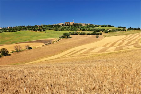simsearch:600-06758329,k - Wheat Field in Summer with a Historic Town of Pienza, Province of Siena, Tuscany, Italy Stock Photo - Premium Royalty-Free, Code: 600-06512910