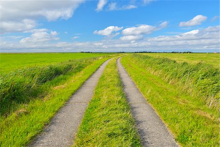 perspective - Path through Fields in the Summer, Toenning, Kating, Schleswig-Holstein, Germany Stock Photo - Premium Royalty-Free, Code: 600-06571066