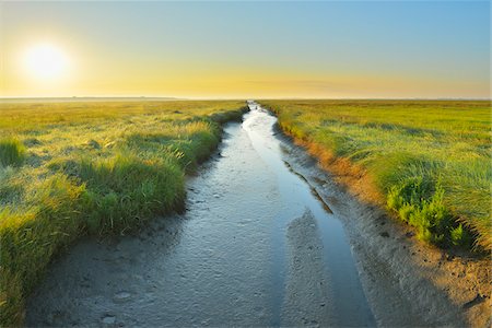 schleswig-holstein - Tide Way, Westerheversand at Sunrise in the Summer, Westerhever,  Tating, Schleswig-Holstein, Germany Stock Photo - Premium Royalty-Free, Code: 600-06571078