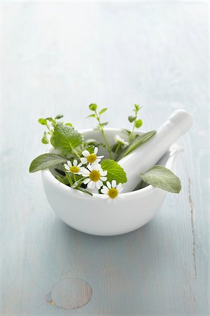 Still life of mortar and pestle with fresh herbs and chamomile Stock Photo - Premium Royalty-Free, Code: 600-06675015