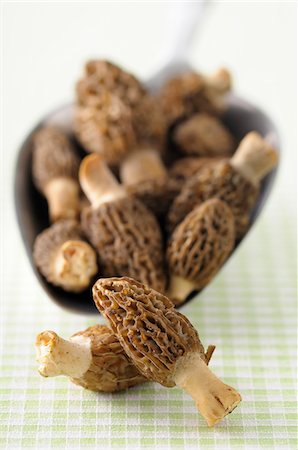 simsearch:600-06671821,k - Close-up of Morel Mushrooms in Scoop, Studio shot Photographie de stock - Premium Libres de Droits, Code: 600-06702111