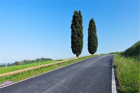 sky road curve - Rural Road lined with Cypress Trees (Cupressus sempervirens). Pienza, Siena district, Tuscany, Toscana, Italy. Stock Photo - Premium Royalty-Free, Code: 600-06732605