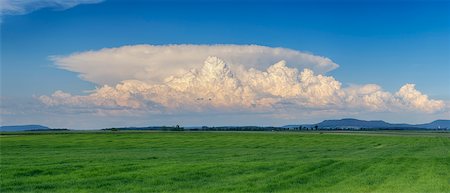 Thundercloud (cumulonimbus) over green field. Bavaria, Germany. Stock Photo - Premium Royalty-Free, Code: 600-06732612