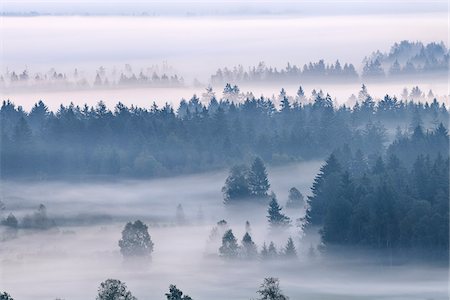 simsearch:600-05821942,k - Morning Mist, Kochelmoor, Bad Tolz-Wolfratshausen, Upper Bavaria, Bavaria, Germany Stock Photo - Premium Royalty-Free, Code: 600-06758349