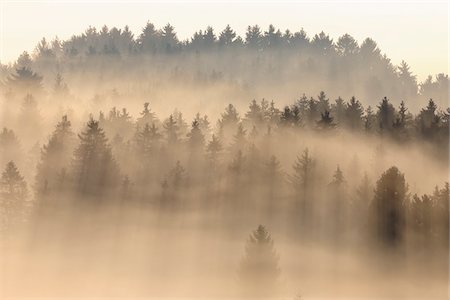 simsearch:600-05821942,k - Morning Mist, Kochelmoor, Bad Tolz-Wolfratshausen, Upper Bavaria, Bavaria, Germany Stock Photo - Premium Royalty-Free, Code: 600-06758357