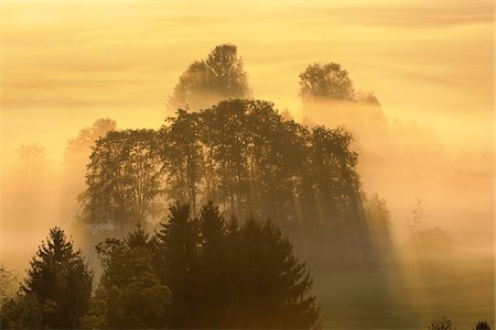 simsearch:600-05821941,k - Morning Mist, Kochelmoor, Bad Tolz-Wolfratshausen, Upper Bavaria, Bavaria, Germany Stock Photo - Premium Royalty-Free, Code: 600-06758351