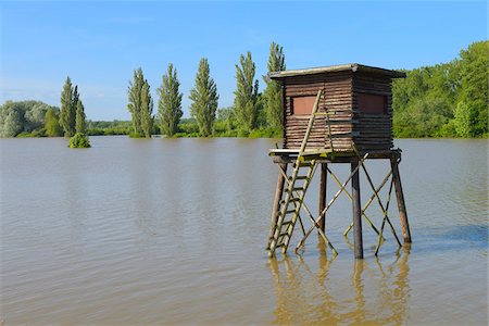 Hunting Blind in Flooded Area, Nature Reserve Kuehkopf-Knoblochsaue, Hesse, Germany, Europe Stock Photo - Premium Royalty-Free, Code: 600-06808869