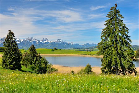 Schapfensee in Spring, Halblech, Swabia, Bavaria, Germany Stock Photo - Premium Royalty-Free, Code: 600-06803891