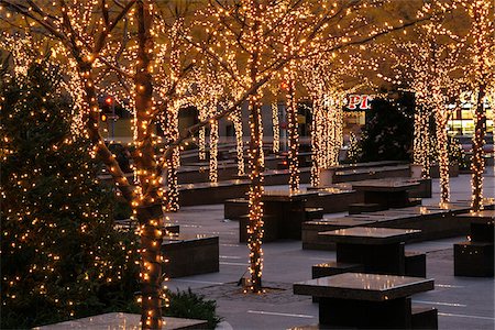 string of lights - Trees Decorated with Lights in Park at Night, Manhattan, New York City, New York State, USA Photographie de stock - Premium Libres de Droits, Code: 600-06841857