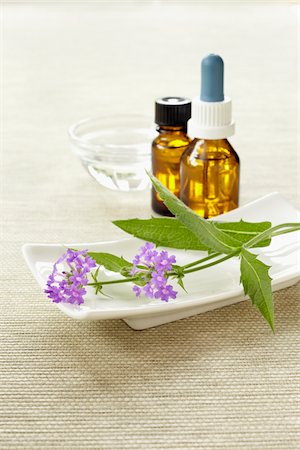 Still life of Bach flowers (Vervain), medicine bottle and bowl of water, Germany Stock Photo - Premium Royalty-Free, Code: 600-06899791