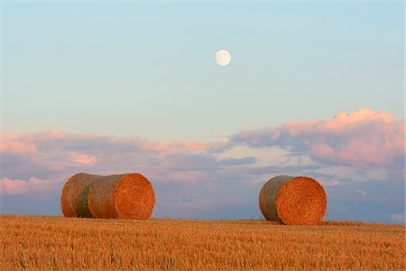 simsearch:6109-07498113,k - Straw rolls at dusk with full moon, Hesse, Germany, Europe Stock Photo - Premium Royalty-Free, Code: 600-06939738