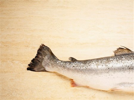simsearch:600-06752237,k - Close-up of Tail of Salmon Trout on Cutting Board, Studio Shot Stock Photo - Premium Royalty-Free, Code: 600-06967747