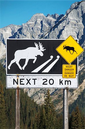 simsearch:700-00439404,k - Moose crossing, warning sign, British Columbia interior, B.C., Canada Foto de stock - Sin royalties Premium, Código: 600-07122846