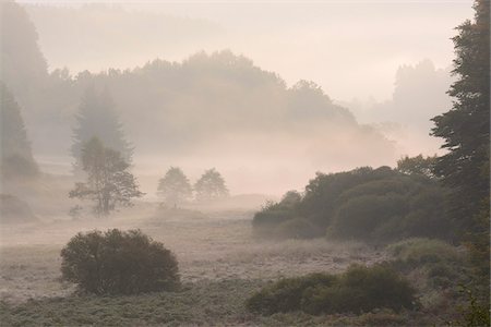 Valley in morning mist, Spessart, Bavaria, Germany, Europe Foto de stock - Sin royalties Premium, Código: 600-07148103
