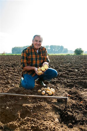 farmer field - Farmer working in field, holding potatoes and looking at camera, Germany Stock Photo - Premium Royalty-Free, Code: 600-07148335