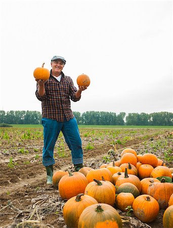 Farmer standing in field, holding pumpkins in hands, next to pumpkin crop, Germany Stock Photo - Premium Royalty-Free, Code: 600-07148349
