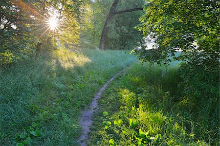 simsearch:600-08945860,k - Path in meadow with sun in Spring, Kahl, Alzenau, Bavaria, Germany Stock Photo - Premium Royalty-Free, Code: 600-07156456