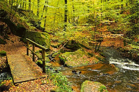 simsearch:400-04587823,k - Karlstal Gorge, near Trippstadt, Palatinate Forest, Rhineland-Palatinate, Germany Stock Photo - Premium Royalty-Free, Code: 600-07199319