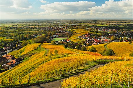 simsearch:600-07199389,k - Vineyard Landscape and Steinbach Village, Ortenau, Baden Wine Route, Baden-Wurttemberg, Germany Stock Photo - Premium Royalty-Free, Code: 600-07199366