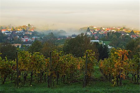 simsearch:600-07199389,k - Vineyard Landscape and Brombach Village, Ortenau, Baden Wine Route, Baden-Wurttemberg, Germany Stock Photo - Premium Royalty-Free, Code: 600-07199384