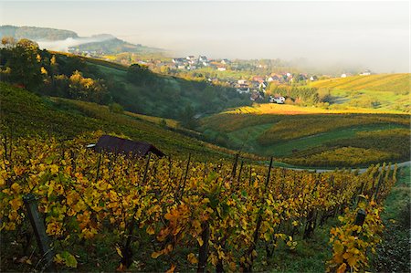 simsearch:600-07199389,k - Vineyard Landscape and Riegel Village, Ortenau, Baden Wine Route, Baden-Wurttemberg, Germany Stock Photo - Premium Royalty-Free, Code: 600-07199386