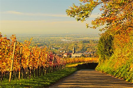 Vineyard Landscape and Lauf Village, Ortenau, Baden Wine Route, Baden-Wurttemberg, Germany Foto de stock - Sin royalties Premium, Código: 600-07199397