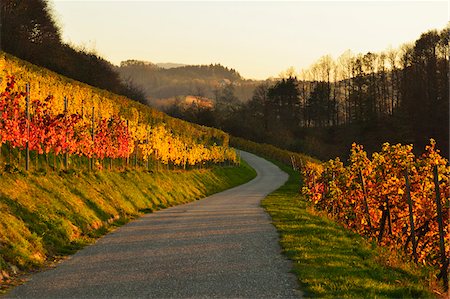 road landscape - Vineyard Landscape, Ortenau, Baden Wine Route, Baden-Wurttemberg, Germany Stock Photo - Premium Royalty-Free, Code: 600-07199402