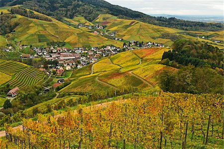 simsearch:700-02245818,k - Vineyard Landscape and Durbach Village, Ortenau, Baden Wine Route, Baden-Wurttemberg, Germany Stock Photo - Premium Royalty-Free, Code: 600-07199413