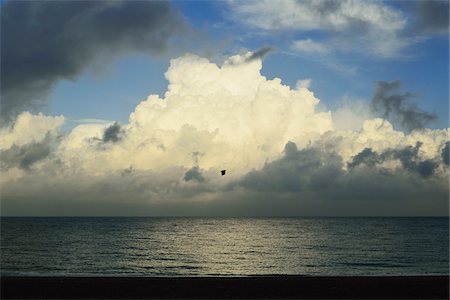 flying bird - Storm clouds at Rhodes City beach, Rhodes, Dodecanese, Aegean Sea, Greece, Europe Stock Photo - Premium Royalty-Free, Code: 600-07199963