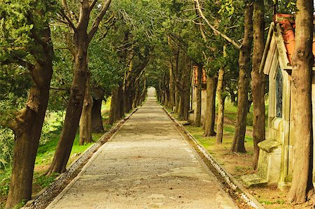 Path to the cross at Filerimos, Rhodes, Dodecanese, Aegean Sea, Greece, Europe Foto de stock - Sin royalties Premium, Código: 600-07200006