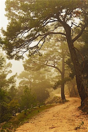 fall trail - Mountain road at Profitis Ilias, Rhodes, Dodecanese, Aegean Sea, Greece, Europe Foto de stock - Sin royalties Premium, Código: 600-07200015