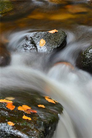 simsearch:600-07810455,k - Close-up of Water Flowing in Stream in Autumn, Bavarian Forest National Park, Bavaria, Germany Stock Photo - Premium Royalty-Free, Code: 600-07237861