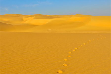 simsearch:600-07431228,k - Footprints on Sand Dune, Matruh Governorate, Libyan Desert, Sahara Desert, Egypt, Africa Stock Photo - Premium Royalty-Free, Code: 600-07279214